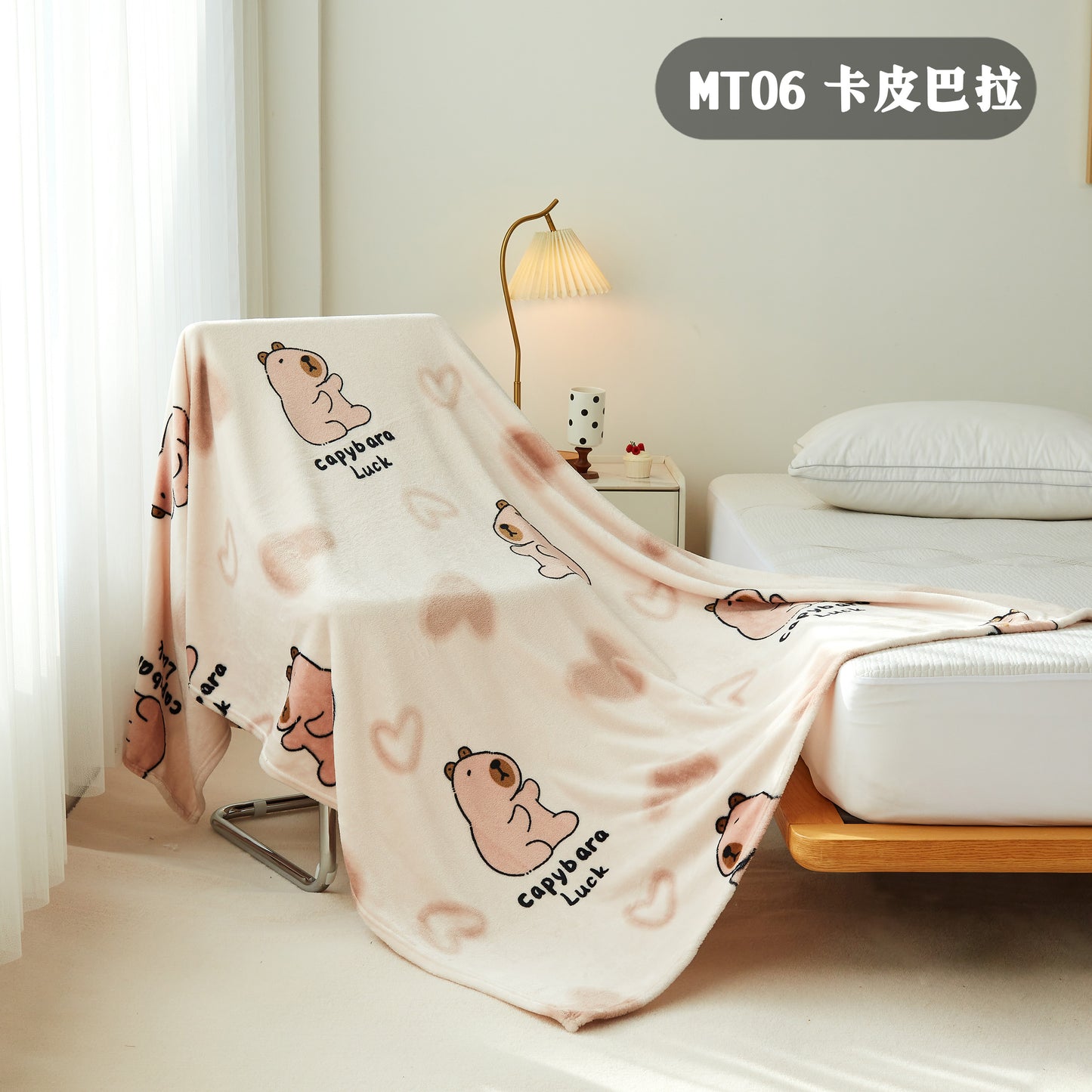 珊瑚绒毛毯 BLANKET