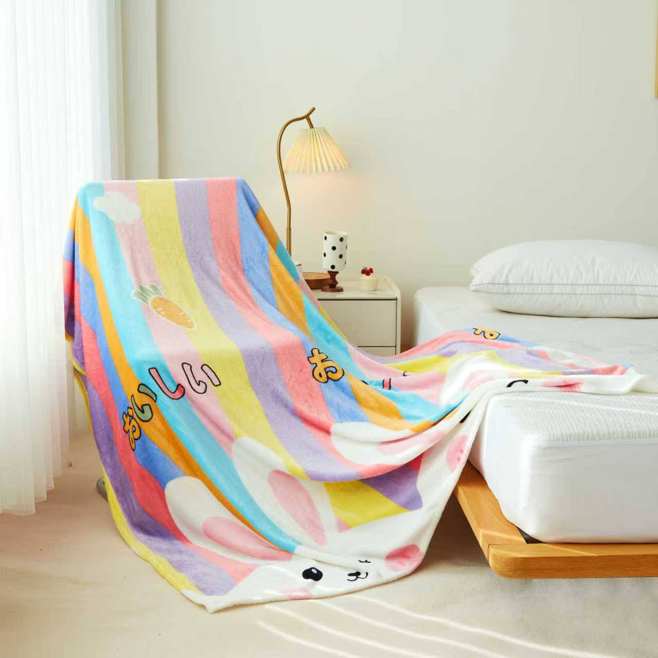 珊瑚绒毛毯 BLANKET