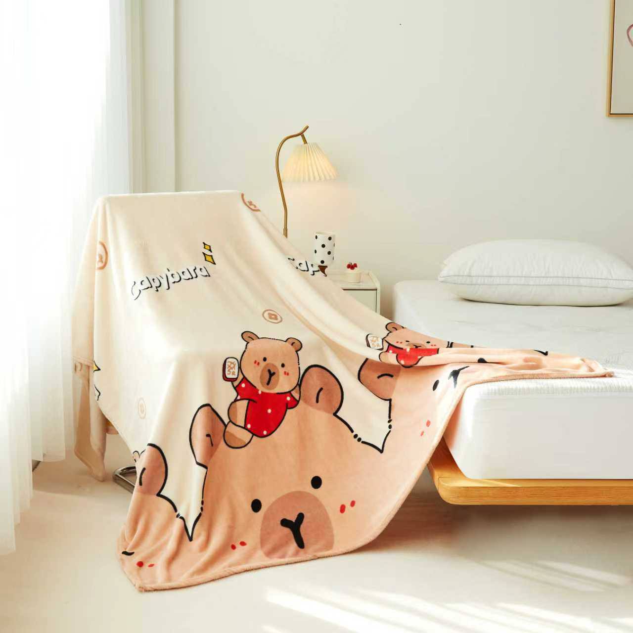 珊瑚绒毛毯 BLANKET