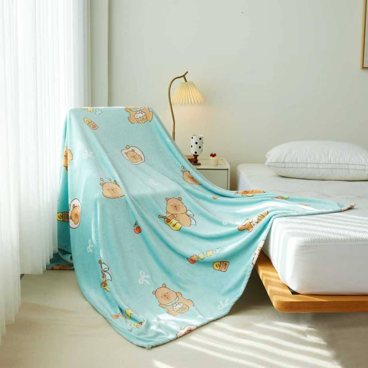 珊瑚绒毛毯 BLANKET