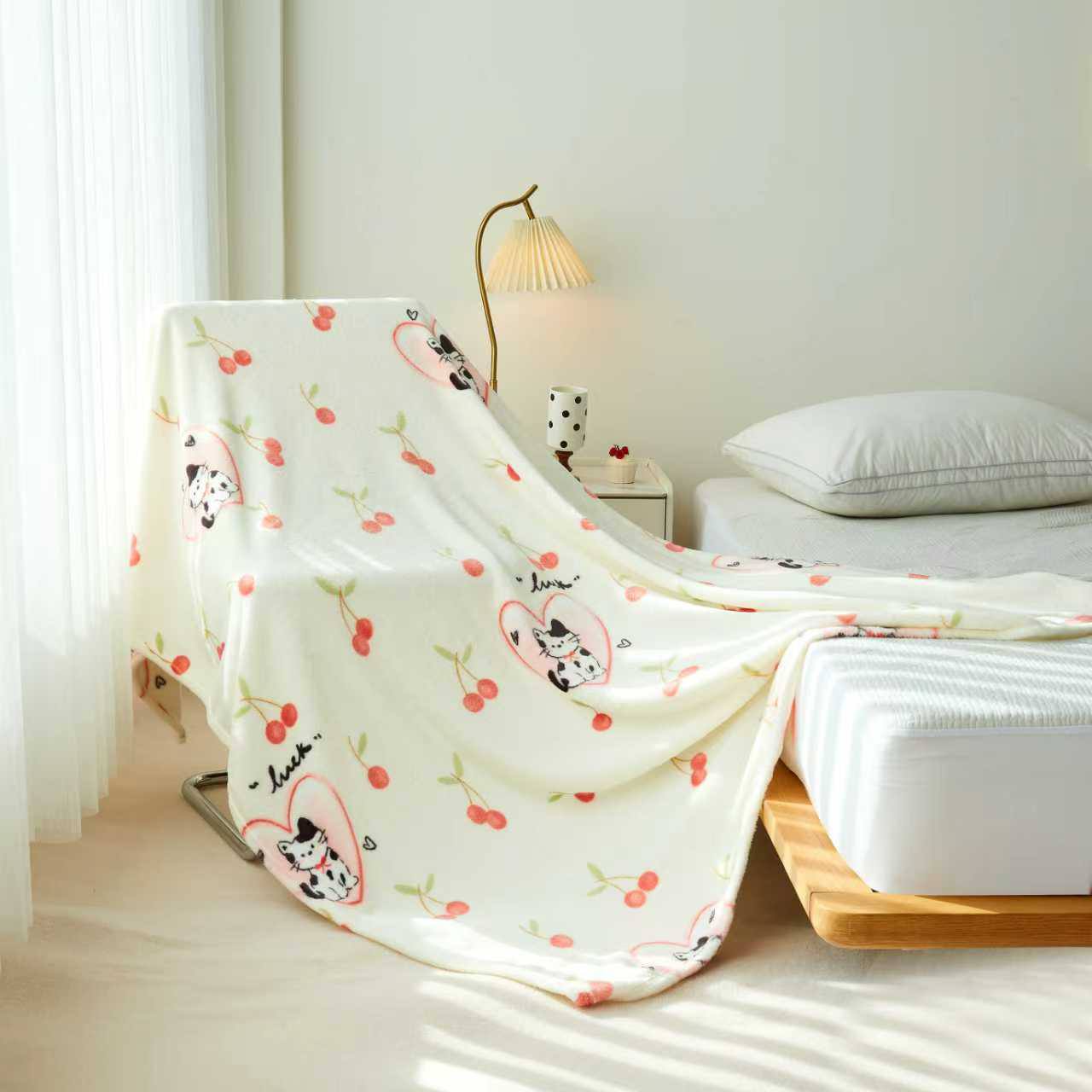 珊瑚绒毛毯 BLANKET